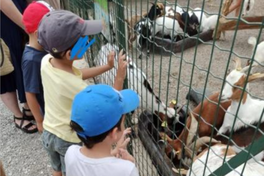 Sortie au Domaine Sainte Marthe