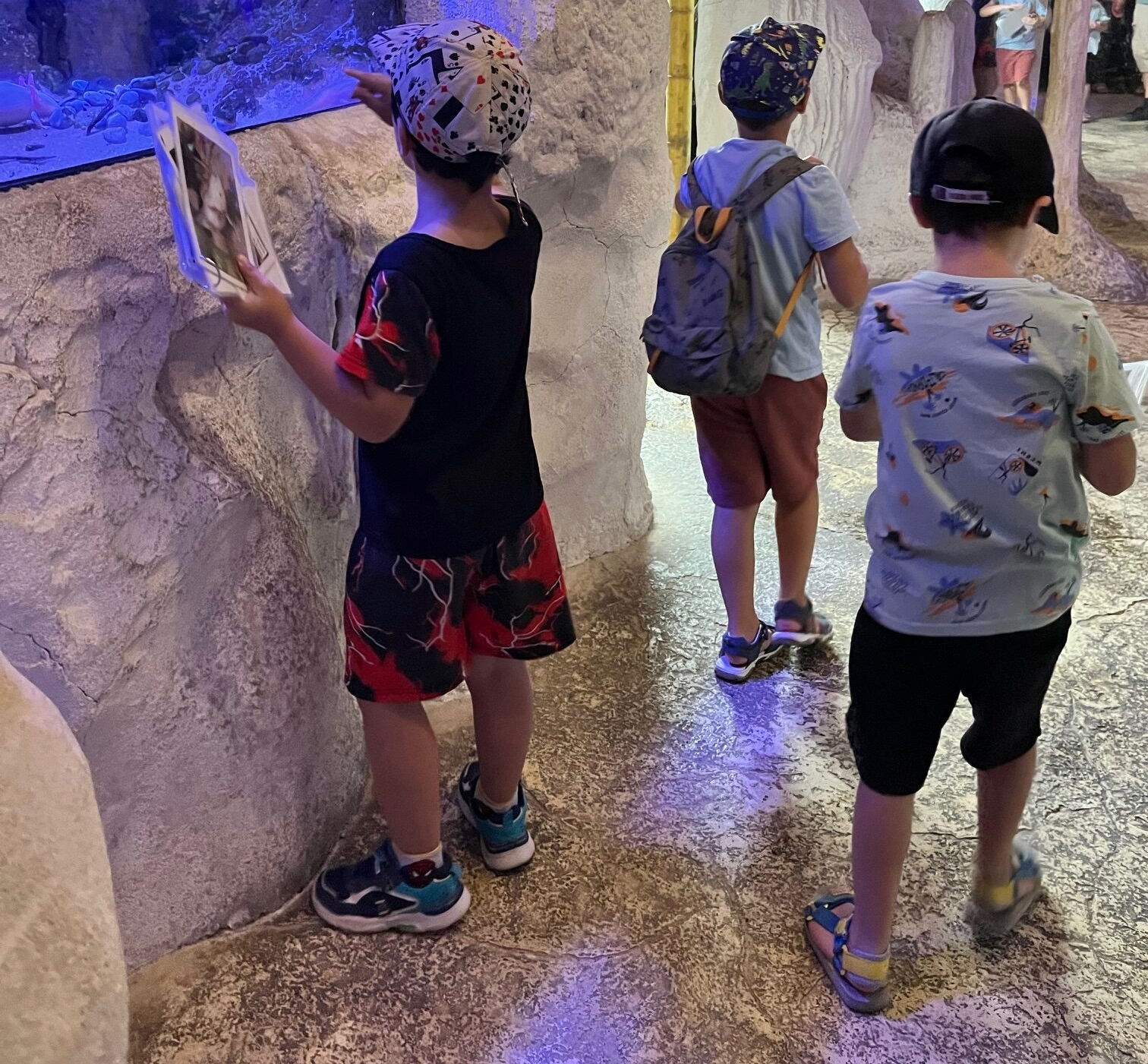 Sorties estivales 2025